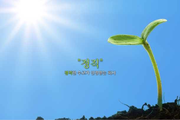 테스트 사업 실적