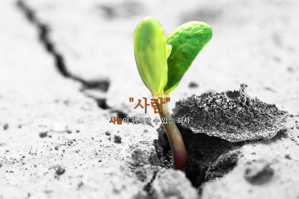 테스트 사업 실적